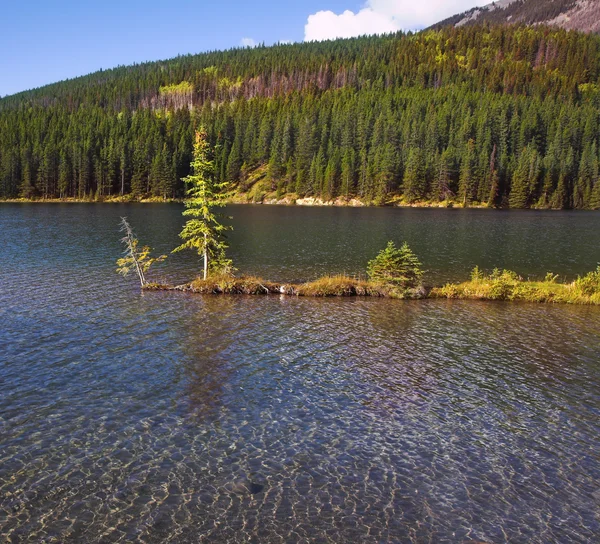 Liten charmig ö i kanadensiska lake — Stockfoto