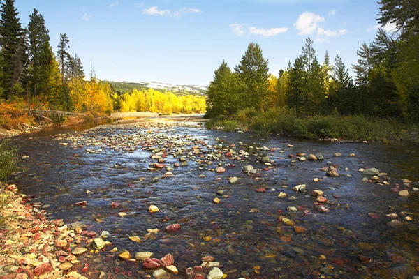 Cours d'eau peu profond — Photo