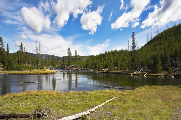 Wilderness — Stock Photo, Image