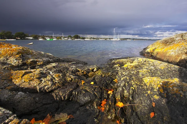 Pedras costeiras pitorescas na passagem do oceano, musgos cobertos , — Fotografia de Stock