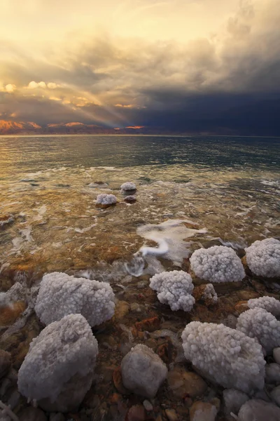 Pobřeží Mrtvého moře v Izraeli. pobřežní kameny, které s — Stock fotografie