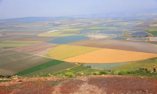 Picturesque valley in the Galilee. — Stock Photo, Image