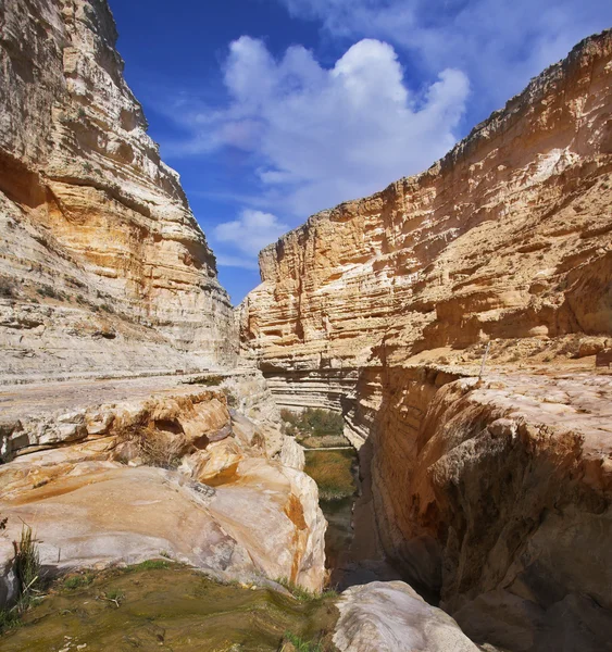 Muhteşem pitoresk gorge tr-avdat — Stok fotoğraf