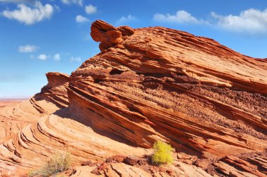 güneşli bir sonbahar yürüyüş