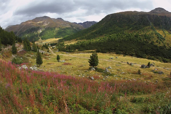 La vallée dans le nord de l'Italie — Photo