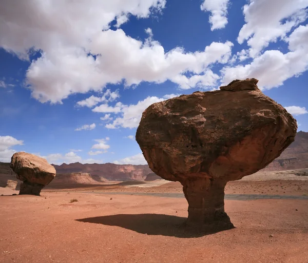 American rock desert — Stock Photo, Image