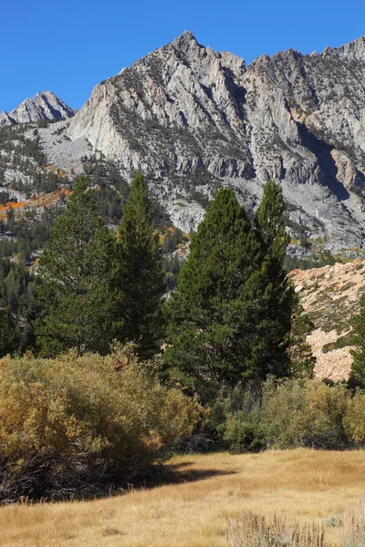 Autumn woods and mountains — Stock Photo, Image