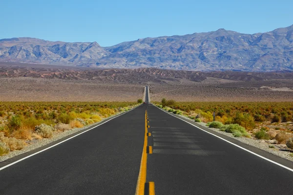 La voiture rouge solitaire sur la route — Photo