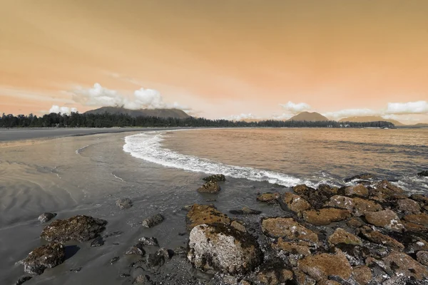 젖은 모래 — 스톡 사진