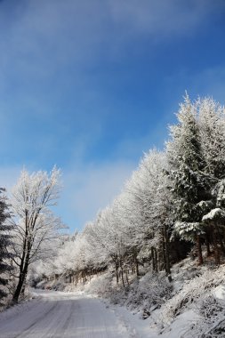Karda yol haddelenmiş