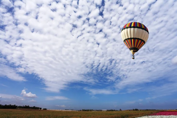 O balão com uma cesta voa sobre os campos — Fotografia de Stock