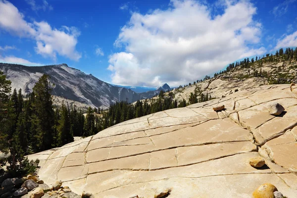 La clairière dans le parc national Yosemite — Photo