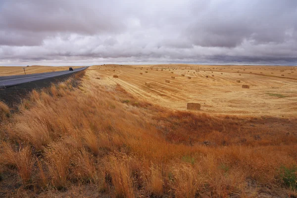 Grande rodovia entre campos de outono — Fotografia de Stock