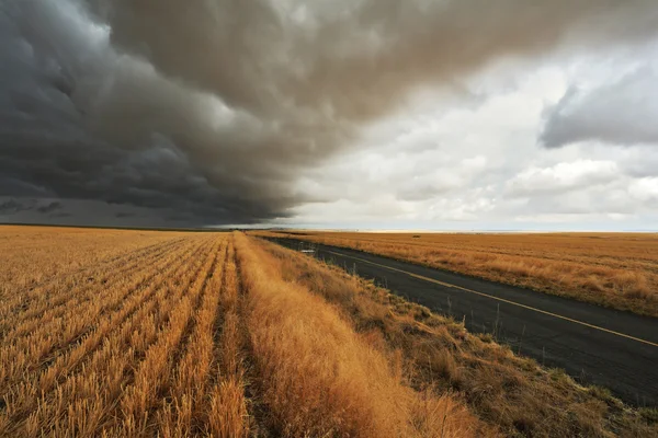 Thunderclouds and sunset. — Stock Photo, Image