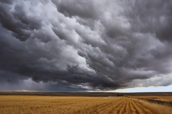 Onweer boven velden na de oogst. — Stockfoto