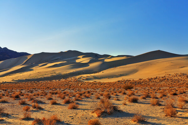 The sandy dune Eureka in desert