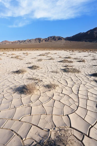 Cracked clay - takyr - surrounds a huge dune — Stock Photo, Image