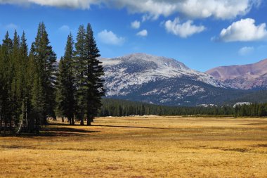yosemite park sessiz bir parçası