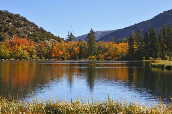 Pretty blue lake and the colorful shore — Stock Photo, Image