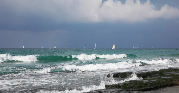 Beautiful white sails of yachts on the horizon — Stock Photo, Image