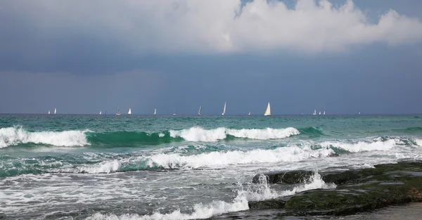 Belle vele bianche di yacht all'orizzonte — Foto Stock