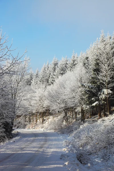 Estrada de inverno — Fotografia de Stock