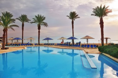 Yüzme Havuzu ve palmiye ağaçları