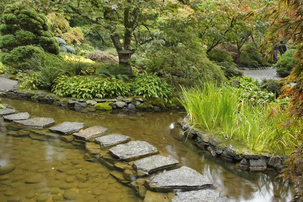 Un ruisseau et un sentier de pierres — Photo