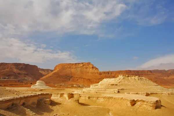 The desert at coast of the Dead Sea — Stock Photo, Image