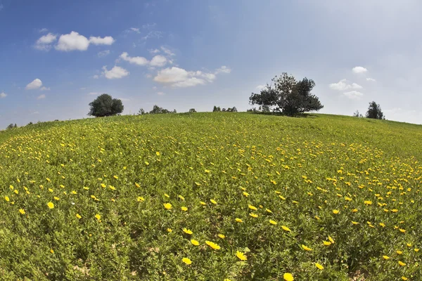 Il mezzogiorno — Foto Stock