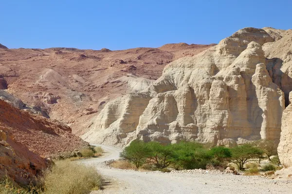 Canyon nel Mar Morto . — Foto Stock