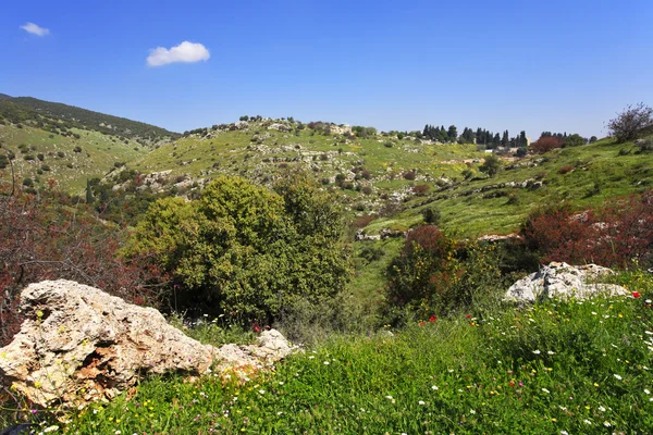 The mountain Meron in clear spring day — Stock Photo, Image