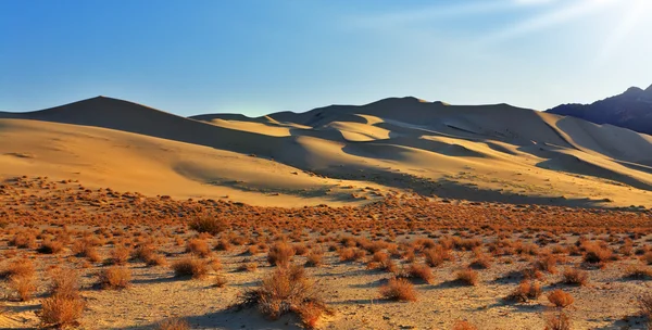 Den större sandstranden sanddynen eureka — Stockfoto