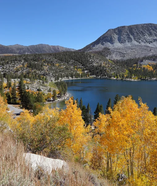 The Magnificent American autumn — Stock Photo, Image