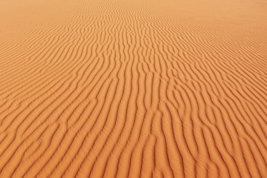 yumuşak kum dalgaları güneşte ışıltı