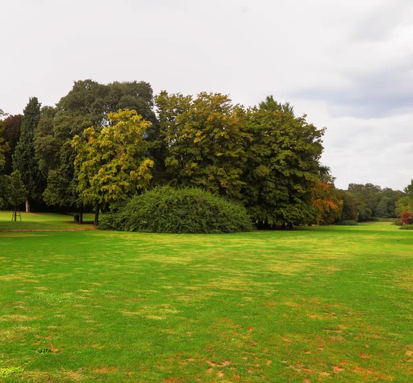 The green grass lawn — Stock Photo, Image