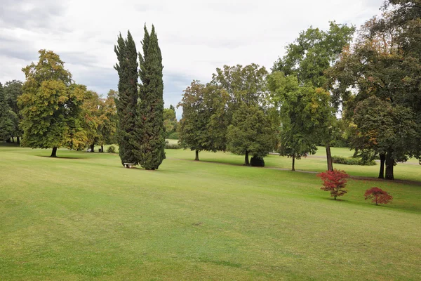 Charming green glade — Stock Photo, Image