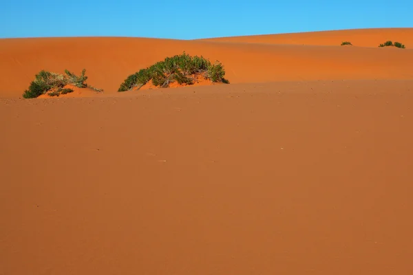 주황색 모래와 푸른 하늘 — 스톡 사진