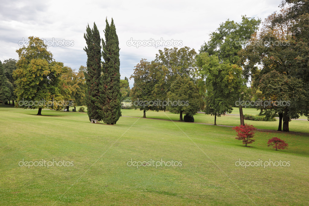 Charming green glade