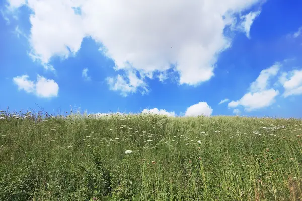 De lätta moln över landsbygdens fält — Stockfoto