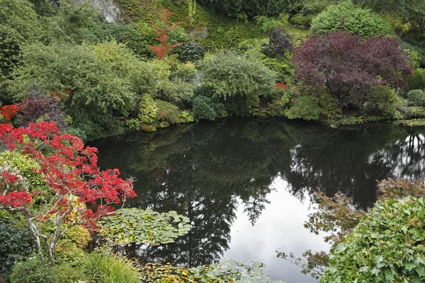 Small pond — Stock Photo, Image