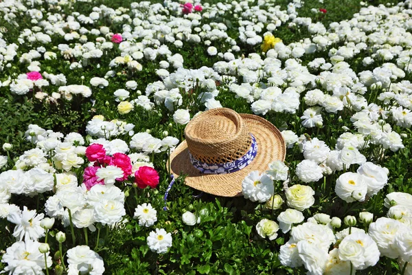 Il cappello di paglia lasciato in un campo — Foto Stock