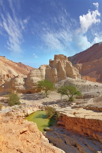 Een zwembad met het groene water — Stockfoto