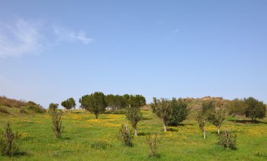 güneyde sıcak Şubat ayında