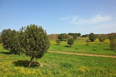 çok kolay bulutlar