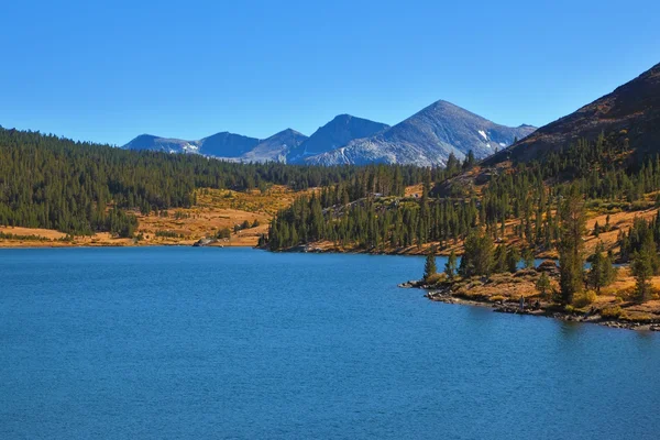 Sjön tioga i pittoreska berg. — Stockfoto