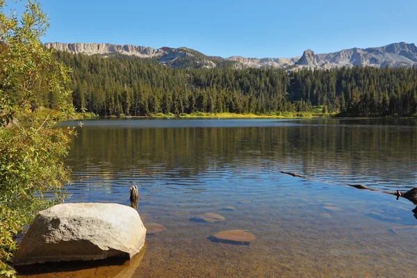 Encantador lago poco profundo con malas hierbas — Foto de Stock