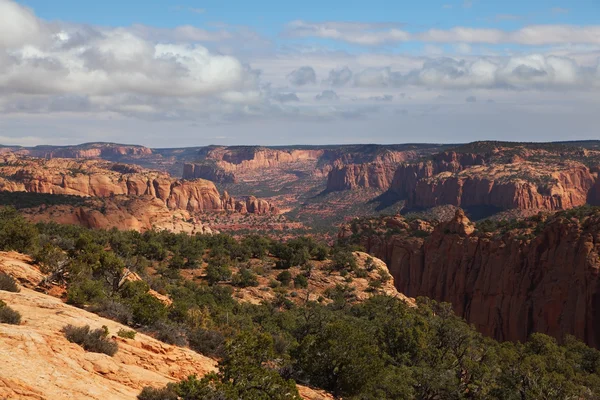 Monumento Navajo - un paisaje majestuoso — Foto de Stock