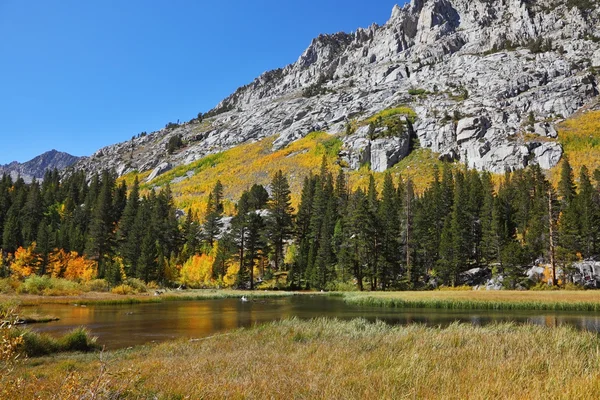 Les couleurs orange de l'automne — Photo