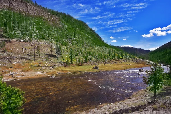 El río Gibbons superficial — Foto de Stock